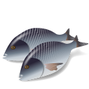 Fish-Dorada-icon